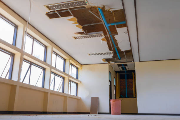 Best Water damage restoration cost  in Kemp Mill, MD