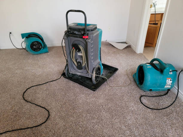 Water damage restoration experts in Kemp Mill, MD