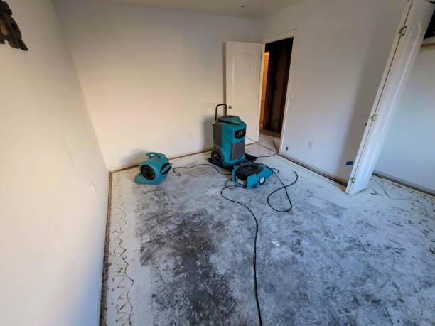 Best Flood restoration services  in Kemp Mill, MD