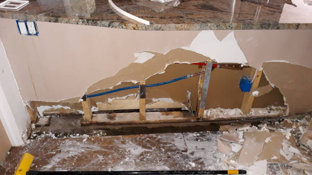 Best Flood damage cleanup  in Kemp Mill, MD