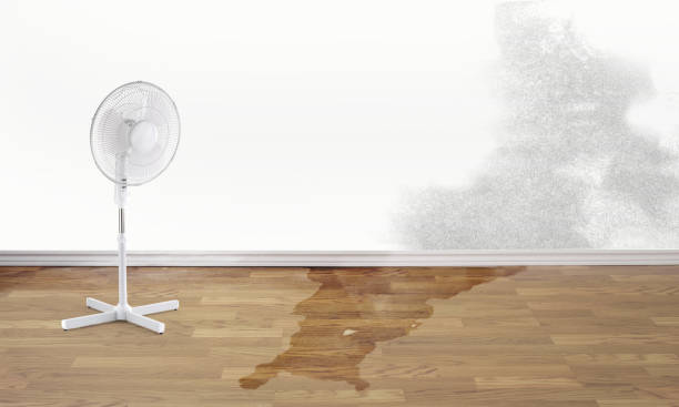 Best Water damage restoration experts  in Kemp Mill, MD