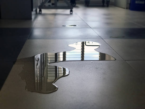 Best Water damage restoration near me  in Kemp Mill, MD