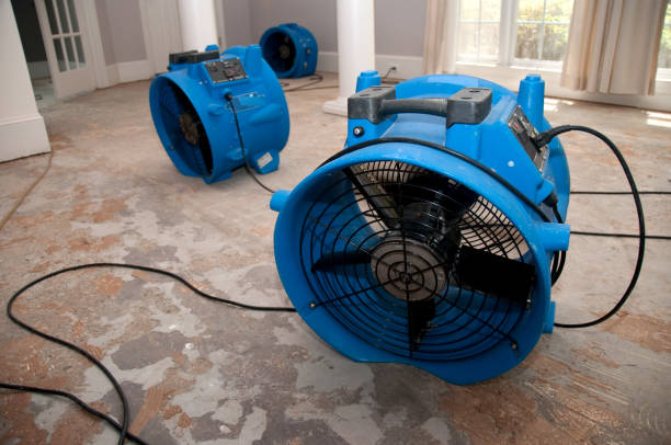 Best Water damage cleanup near me  in Kemp Mill, MD