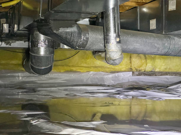 Best Ceiling water damage repair  in Kemp Mill, MD