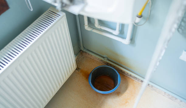 Best Professional water damage repair  in Kemp Mill, MD