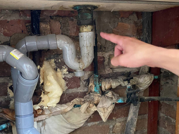Best Local water damage restoration  in Kemp Mill, MD