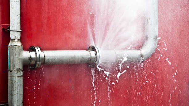 Best Carpet water damage restoration  in Kemp Mill, MD